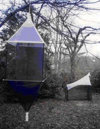 A canopy insect trap with collecting heads at the top and bottom hanging in a wooded clearing, with a Townes style Malaise trap pitched behind it.